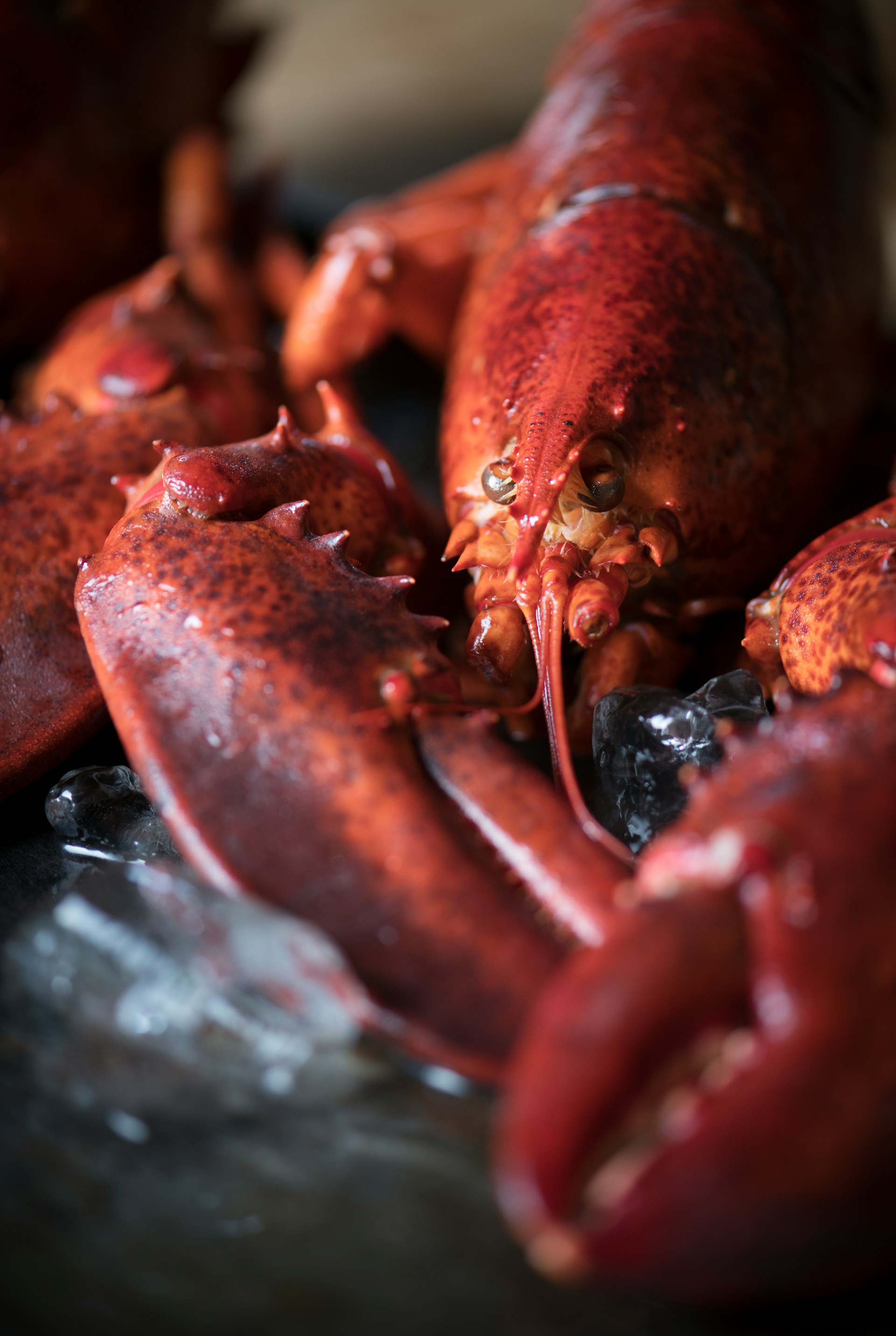 Quality – Quality You Can Taste