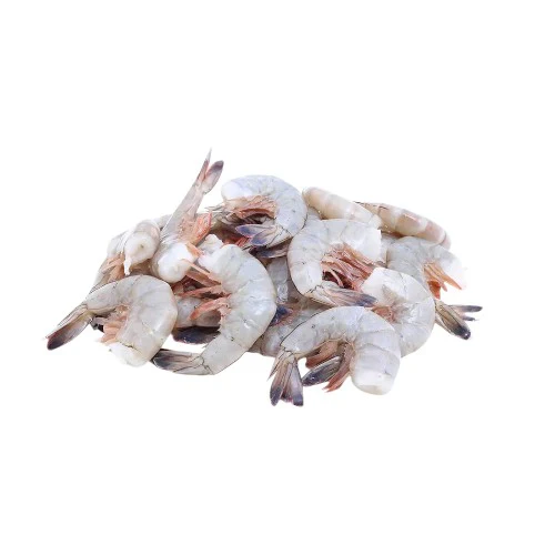 Fresh Shrimp