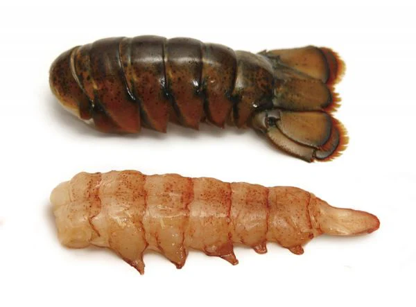 Lobster Tail